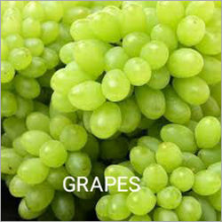 Green Fresh Grapes