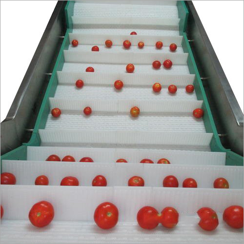 Fruit Washing Modular Conveyor