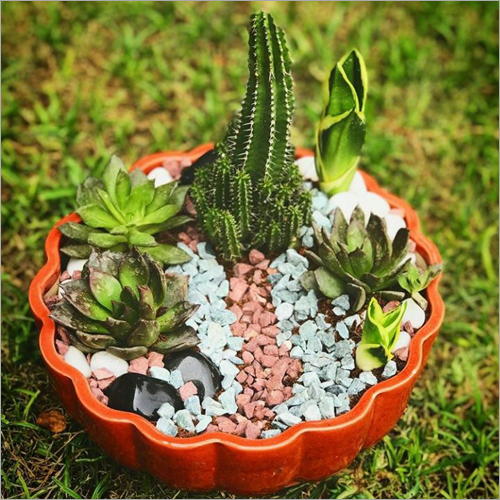 Decorative Ceramic Flower Planter