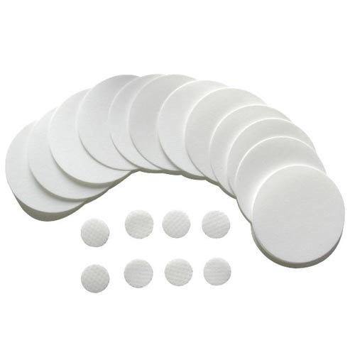 PTFE Disc