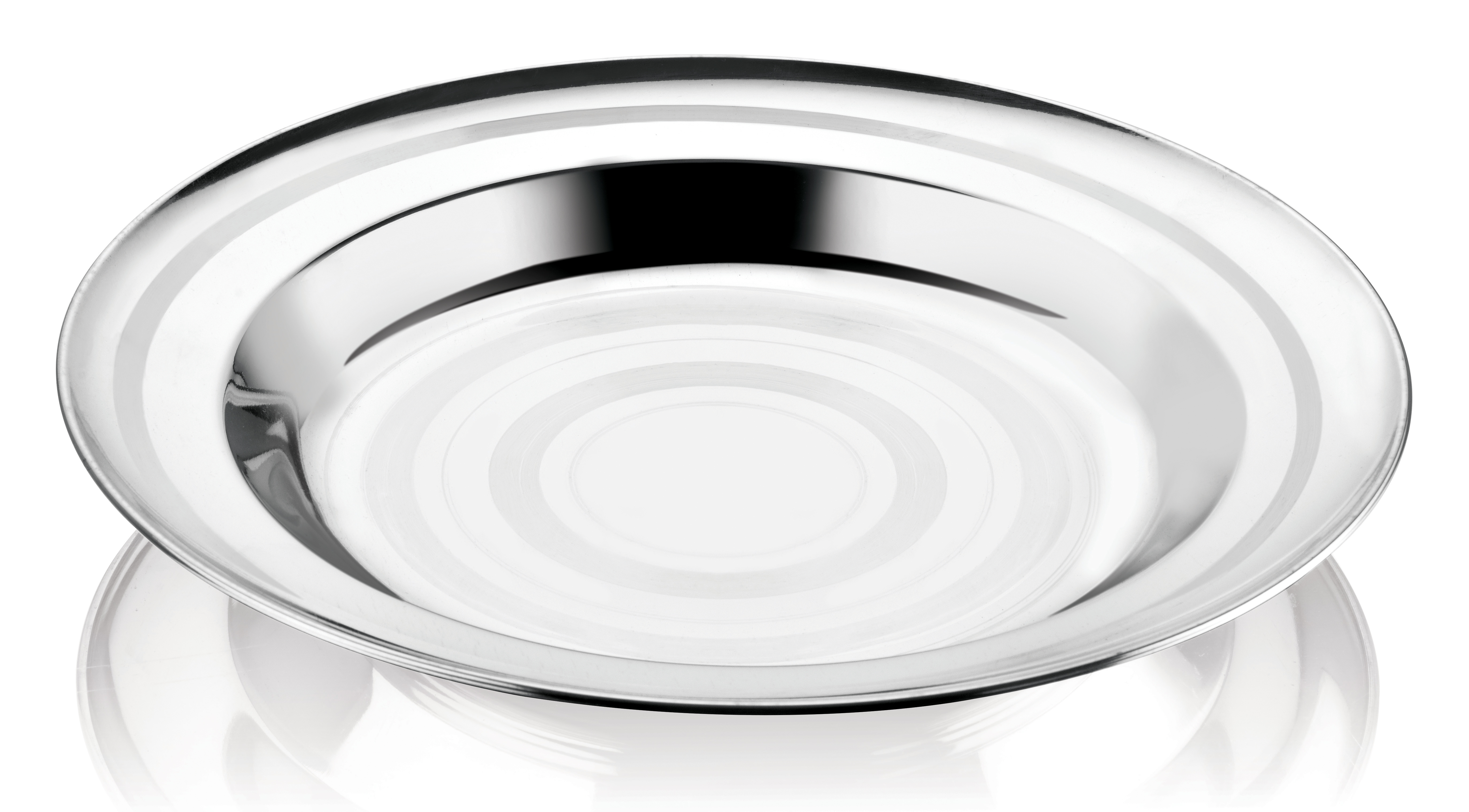 Stainless Steel Dinner Plate