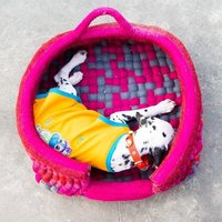 Felt Dog Kennel