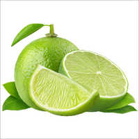 Lime - Medium Size, Round Shape | Juicy Green Fruit with 100g Weight and 2.0-2.5 pH