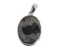 Ammonite Pyrite 925 Silver Gemstone Pendant