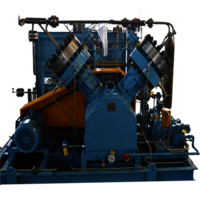 Oil-free 25nm3/h Syngas Gas Booster Diaphragm Compressor