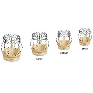 Perceval Sutureless Valve