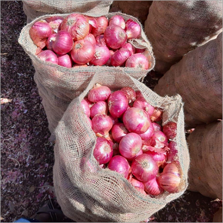 Golti Onion - Common Cultivation, Baked Processing Form , Round Shape With 100 Days Shelf Life