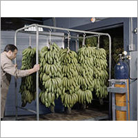 Banana Ripening Chamber