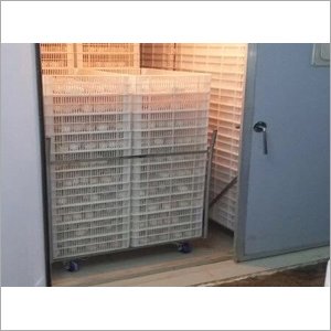 Poultry Egg Hatcher