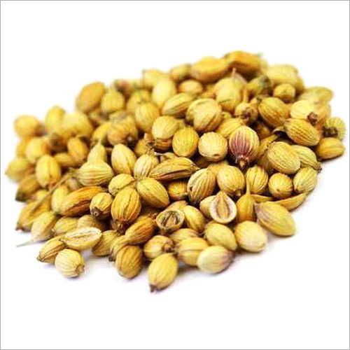 Coriander Seeds