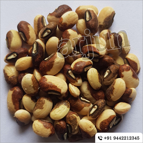 Chedi Karamani - Premium Quality Vegetable Seeds, Rich in Nutrients and High Germination Rate