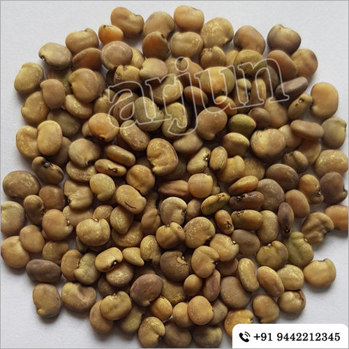 Vegetables Seeds Kotthavarai