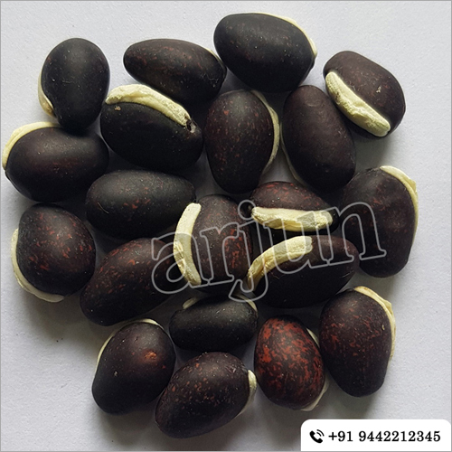 Kozhi Avarai - Vegetable Seeds | Robust Growth Potential, High Yield, and Disease Resistance for Thriving Gardens