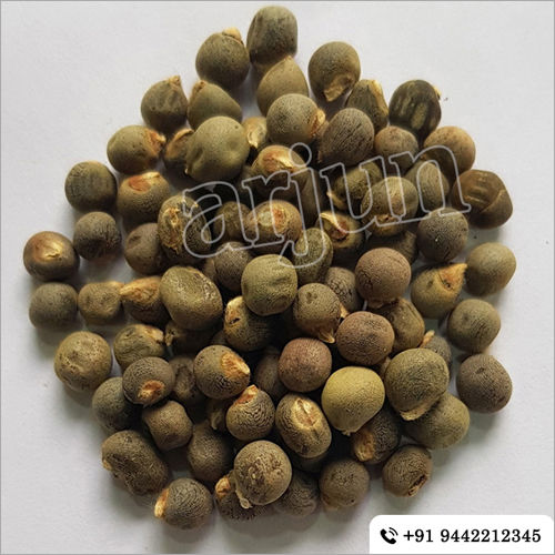 Vegetables Seeds Ladies Finger