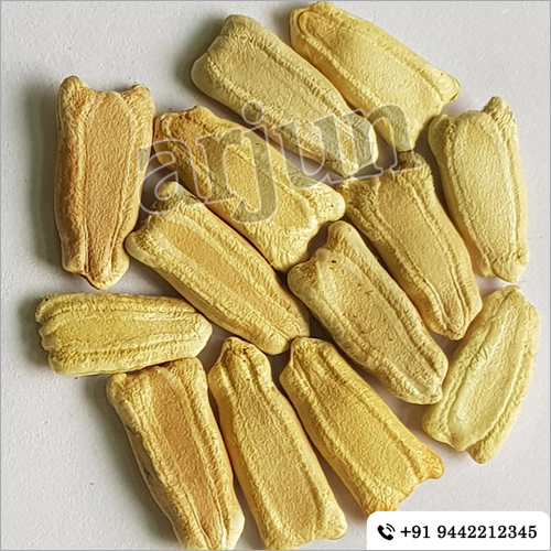 Long Bottle Gourd - Vegetable Seeds | High Yield, Disease Resistant, Ideal for Home Gardens and Organic Cultivation