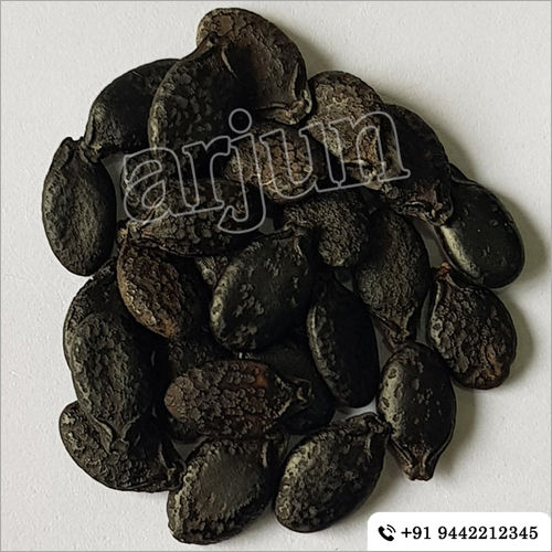 Vegetables Seeds Ring Gourd