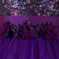 Kids Net Long Purple Gown