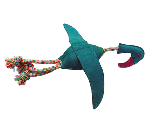 dog toy
