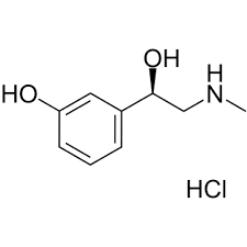 PHENYLEPHRINE HCL