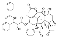 Paclitaxel API - Powder, 95% Purity, Medicine Grade | Water Soluble, 5-Year Shelf Life, Storage in Shades