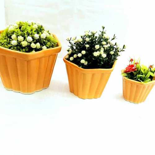 Angular  bonsai set of 3