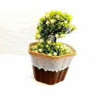 Flue  Angular Bonsai Pot