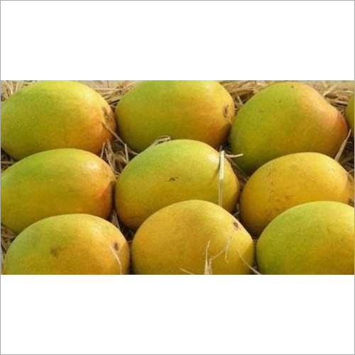 Common Fresh Kesar Mango