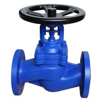 Bellow Seal Globe Valve In Punjab