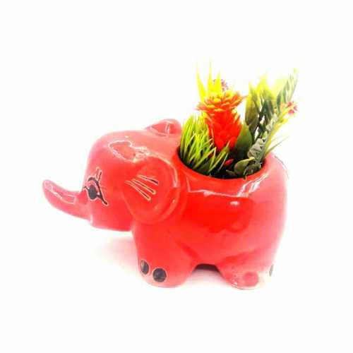 Miniature Elephant