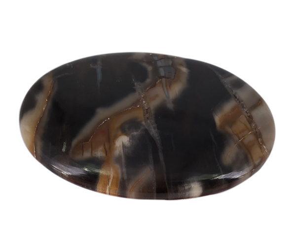 Opaque Petrified Wood Loose Gemstone