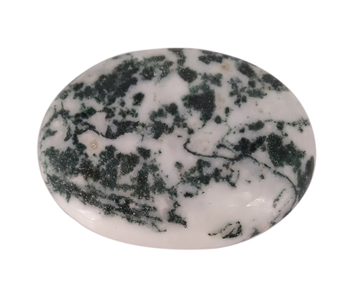 Healing Tree Agate Loose Gemstone