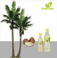 Organic coconut oil