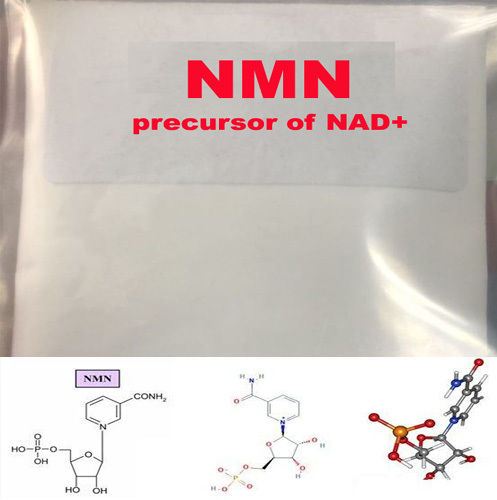 Nicotinamide Mononucleotide,Precursor Of Nad+, Nmn, Beta Nmn Usage: Rearch