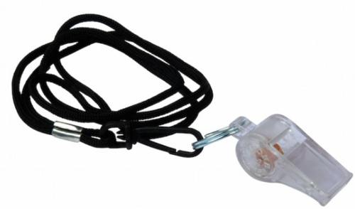 Avon Gold Whistle with Lanyard