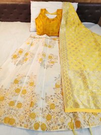 Fancy and Designer Banarasi brocade Lehnga choli