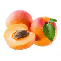 Apricot
