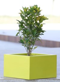 FRP Designer Pots