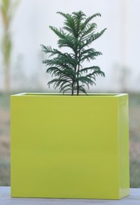 Yellow FRP Planters