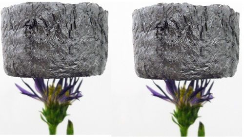 Graphene Aerogel