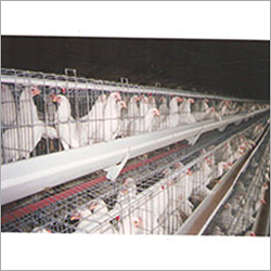 Grower Cage