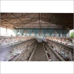 Layer Cage With Hopper Feeding System