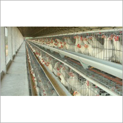 Layer Cage
