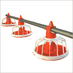 Poultry Pan Feeding