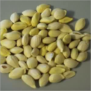 Lemon (nimbu) Seed