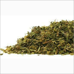 Sr-128 Stevia Plant