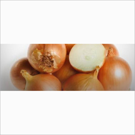 Brown Onion