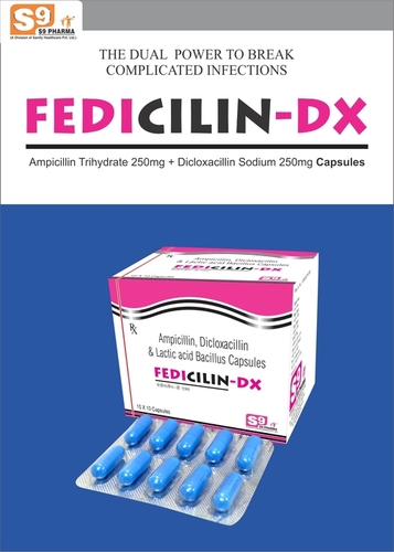 Ampicilin 250mg + Dicloxacillin 250mg + LAB 2.5 ms