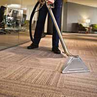 Carpet Cleaning Services