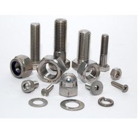 SS हेक्स बोल्ट नट