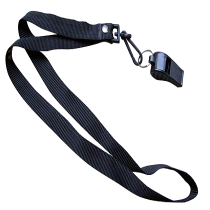 Whistle lanyard